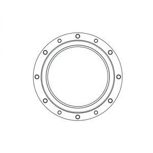 Seal Ring PN: 106707 (BR-00323)