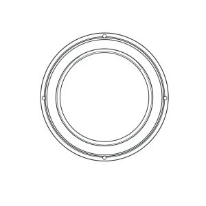 V-RING SEAL (BR-00012)