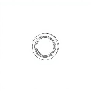 Vane Seal PN: 033-71611-0 (HP-D0261)