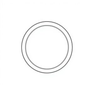 O-Ring PN: 671-00249 (HP-D0084)