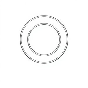 O-Ring PN: 391-2881-457 (HP-D0051)
