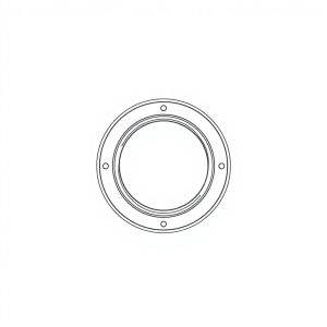 O-RING PN: 24773 (BR-00179)