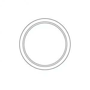 Gasket O-Ring PN: 691-00902-0 (HP-D0218)