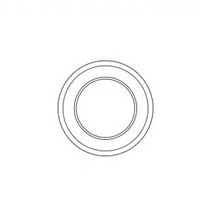 21-RD6-2 SNAP RING - PN: 13031 (BR-00025)