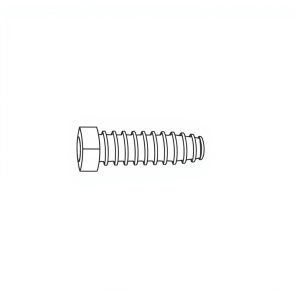 Cap Screw, SS316, FW-FT, M5 x 55 (BN-01529)