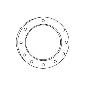 THRUST WASHER PN: 24481 (BR-00159)