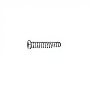 Screw, Allen Cap, SS304, M5 x 55mm (BN-00561)