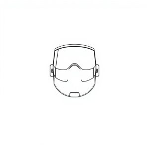 FACE SHIELD