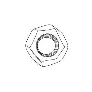 1/2" SS304 LOCK NUT (BN-00498)