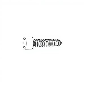 Allen Button Head Screw, SS304 c/w Nut & DFW, M6 x 15mm (BN-01583)