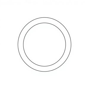 O RING (BR-00010)