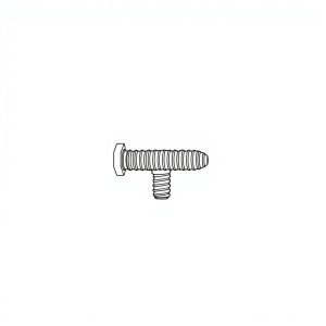 Allen Cap Screw, SS304 c/w Nut, 2NO FW & SW,  M6 x 80mm (BN-01461)