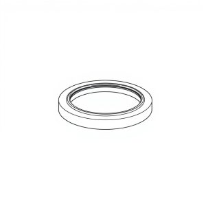 Nylite Seal PN: 631-45007 (HP-D0074)