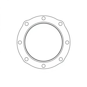 Gasket O-Ring PN: 691-00125-0 (HP-D0262)