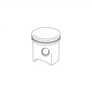 Piston/Shoe Assy/Retainer PN: S13-43655 (HP-D0155)
