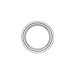 Lip Seal - PN: 104182 (BR-00348)