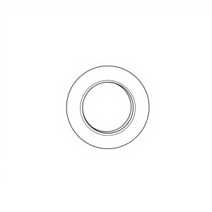 Thrust Washer PN: 033-72249 (HP-D0023)