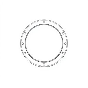 Gasket Seal P75/76 PN: 391-2884-024 (HP-D0060)