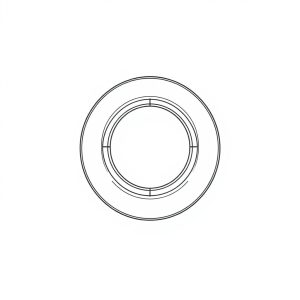 V-RING (BR-00011)