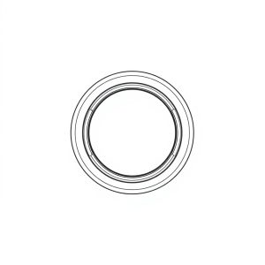 Ring Seal PN: 391-2585-009 (HP-D0048)