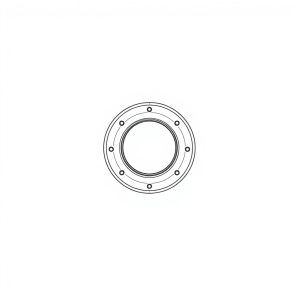 Chamber Seal PN: 606-25040 (HP-D0069)