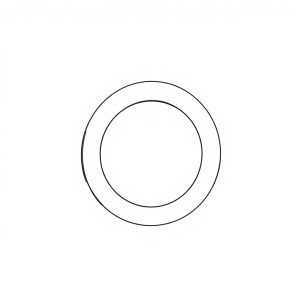 Retaining Ring PN: 033-71559 (HP-D0174)