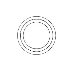 O-Ring PN: 691-00012 (HP-D0160)