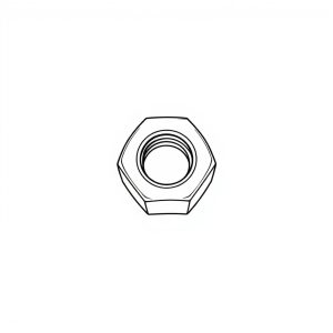 Nut (BN-00796)