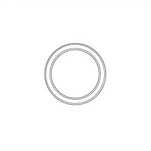 O-Ring PN: 691-00904 (HP-D0087)