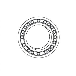 Roller Bearing PN: 391-0381-078 (HP-D0197)