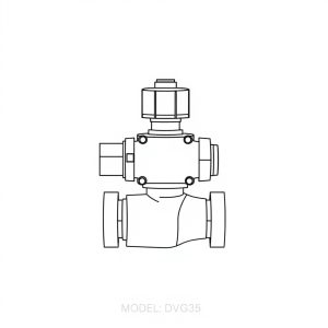 Control Valve MODEL: DVG35 (CP-00382)