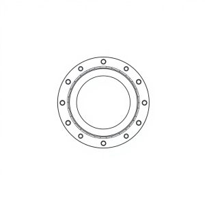 V42 Sect Seal PN: K-28029-F (CP-01751)