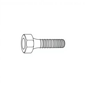 Bolt, Eye, SS304 c/w LN & DFW, 3/8" x 50mm (BN-00747)
