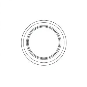 Seal Ring PN: 033-71490 (HP-D0188)