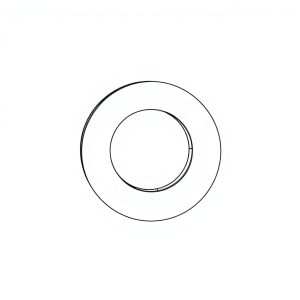 Thrust Washer PN:391-2584-051 (HP-D0041)