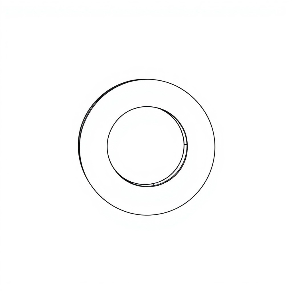 Thrust Washer PN:391-2584-051 (HP-D0041)