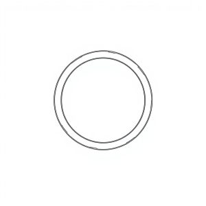 O-Ring PN: 391-2881-132 (HP-D0050)