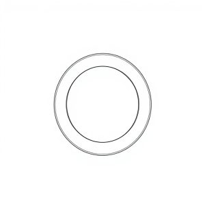 O-Ring PN: 691-00120 (HP-D0085)