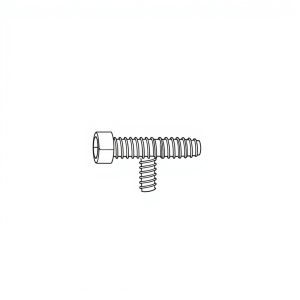 Allen Socket Cap Screw, SS304 c/w SW & FW, M6 x 165mm (BN-01471)