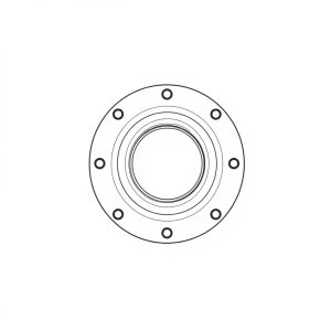 Thrust Plate PN: 391-2185-167 (HP-D0045)