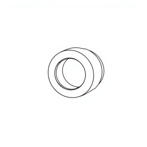 O-RING BOSS PLUG, 1" (HF-00285)