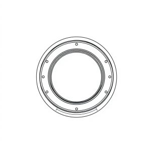 Vane Seal PN: 033-70501 (HP-D0008)