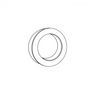 Friction Washer PN: 45831 (CP-01067)