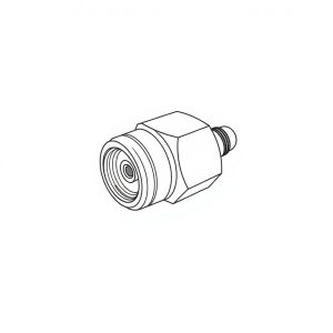 1" NPTM Plug (HF-00319)