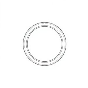 O-Ring PN: 671-0014 (HP-D0077)