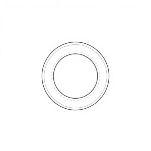 1985001 SNAP RING PN: 21038 (BR-00041)