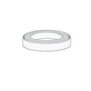 Flat Webbing Sling x 6.0mtr. -1.0 MT (W1T601)