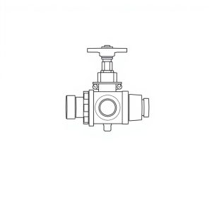 Valve (CH-00004)
